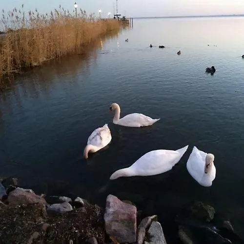 Toth Nyaralo Balatongyörök